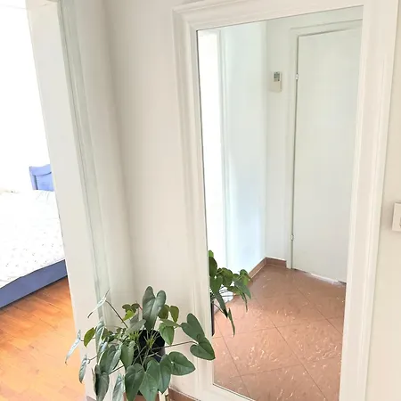 Olive * Split